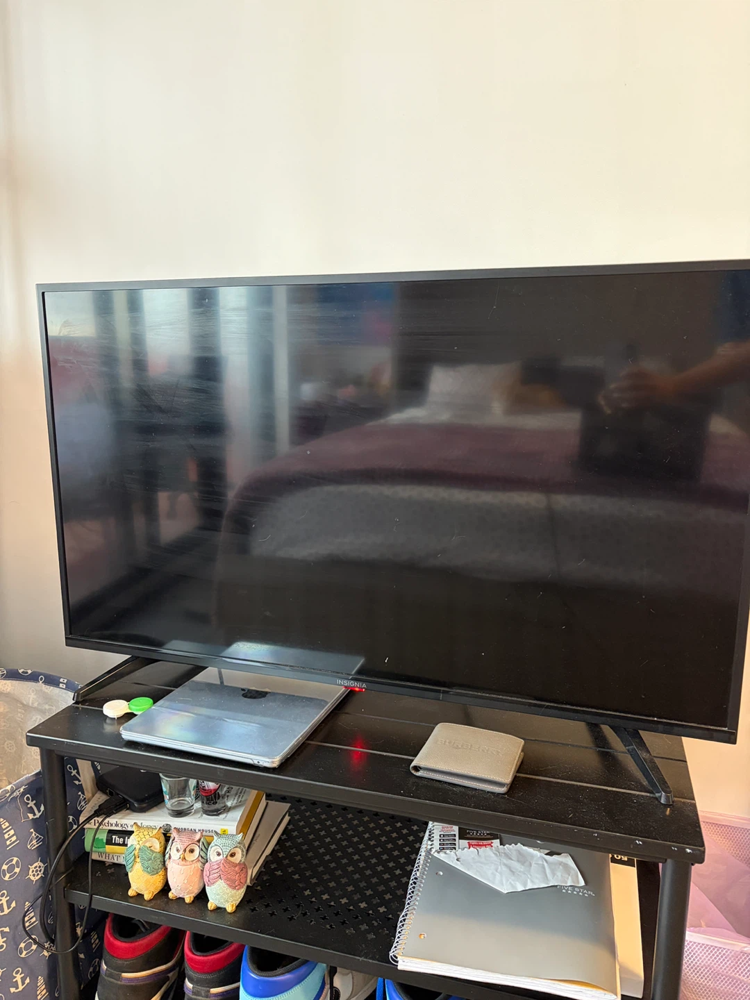 Insignia TV (not smart)