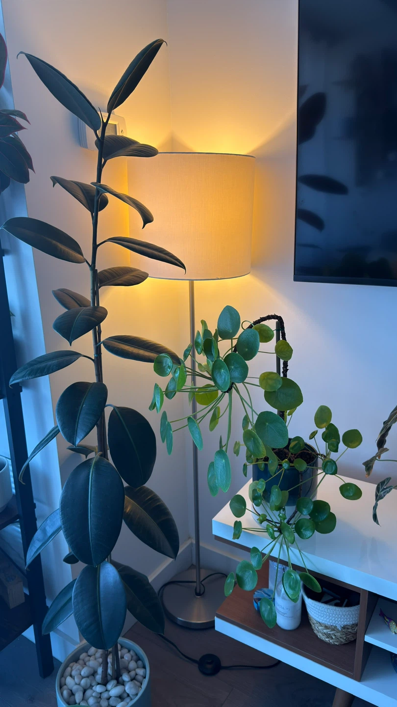 Modern Floor Lamp. Perfect Condition. - photo 4