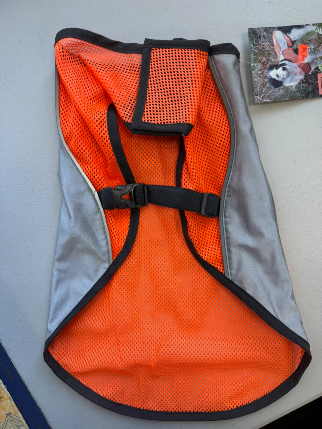 Canine Friendly High Visibility Dog Vest - Size M - photo 3