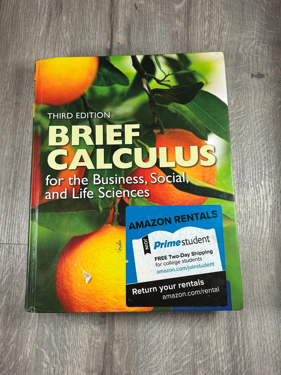 Brief Calculus for the Business,
