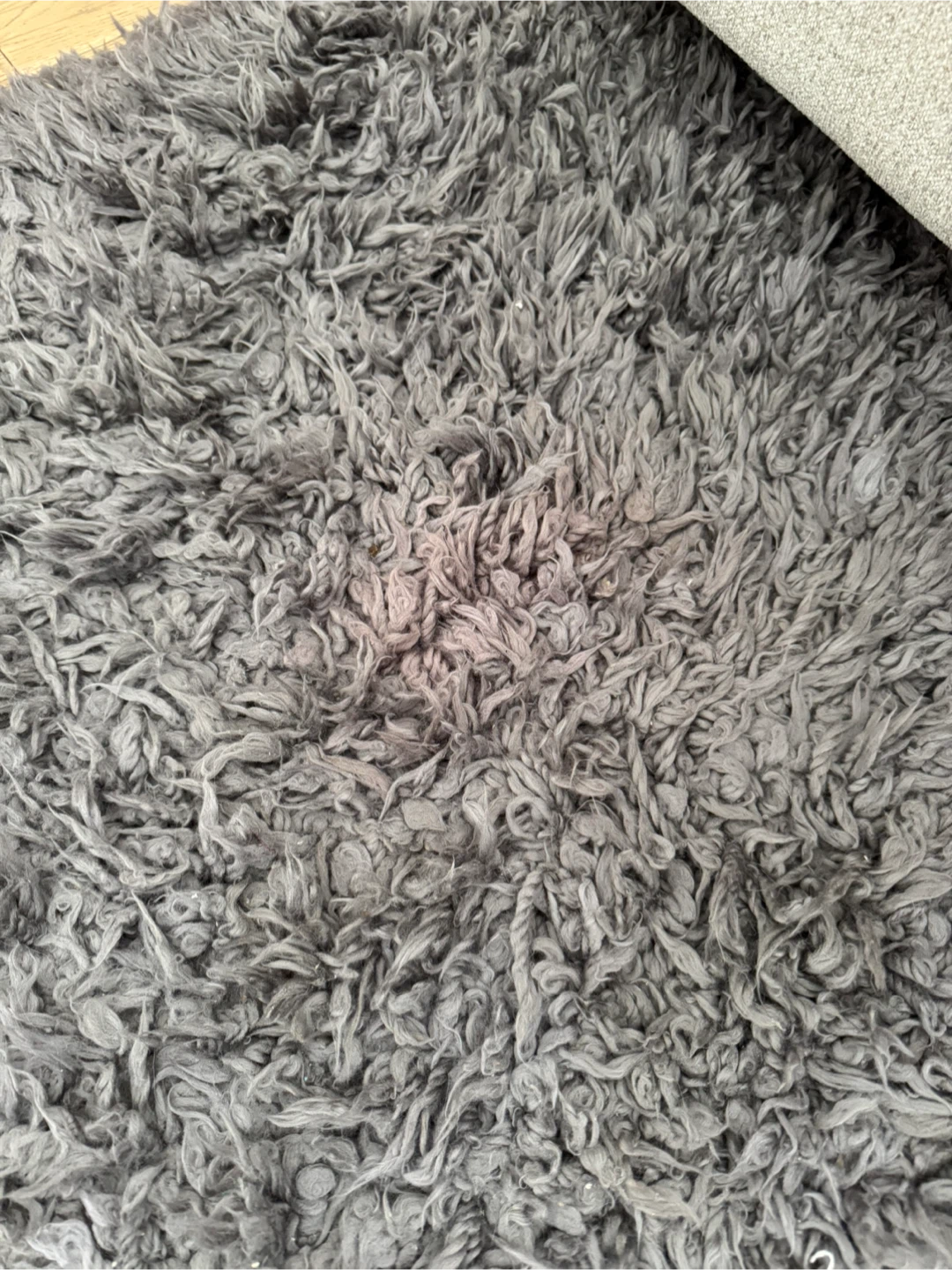 West Elm Cozy Plush Shag Rug - Gray (8' x 10') - photo 3