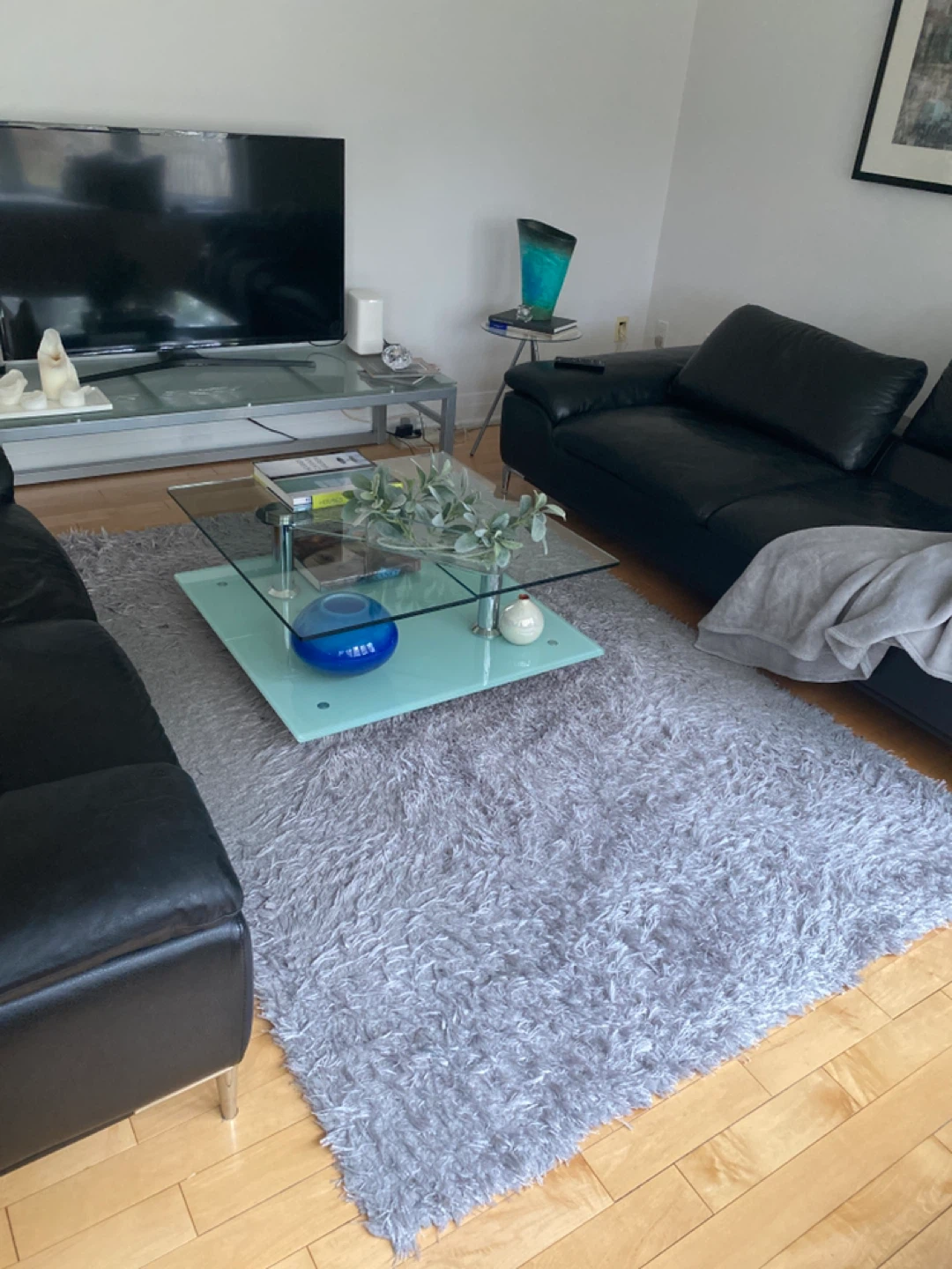 Grey Shag Area Rug