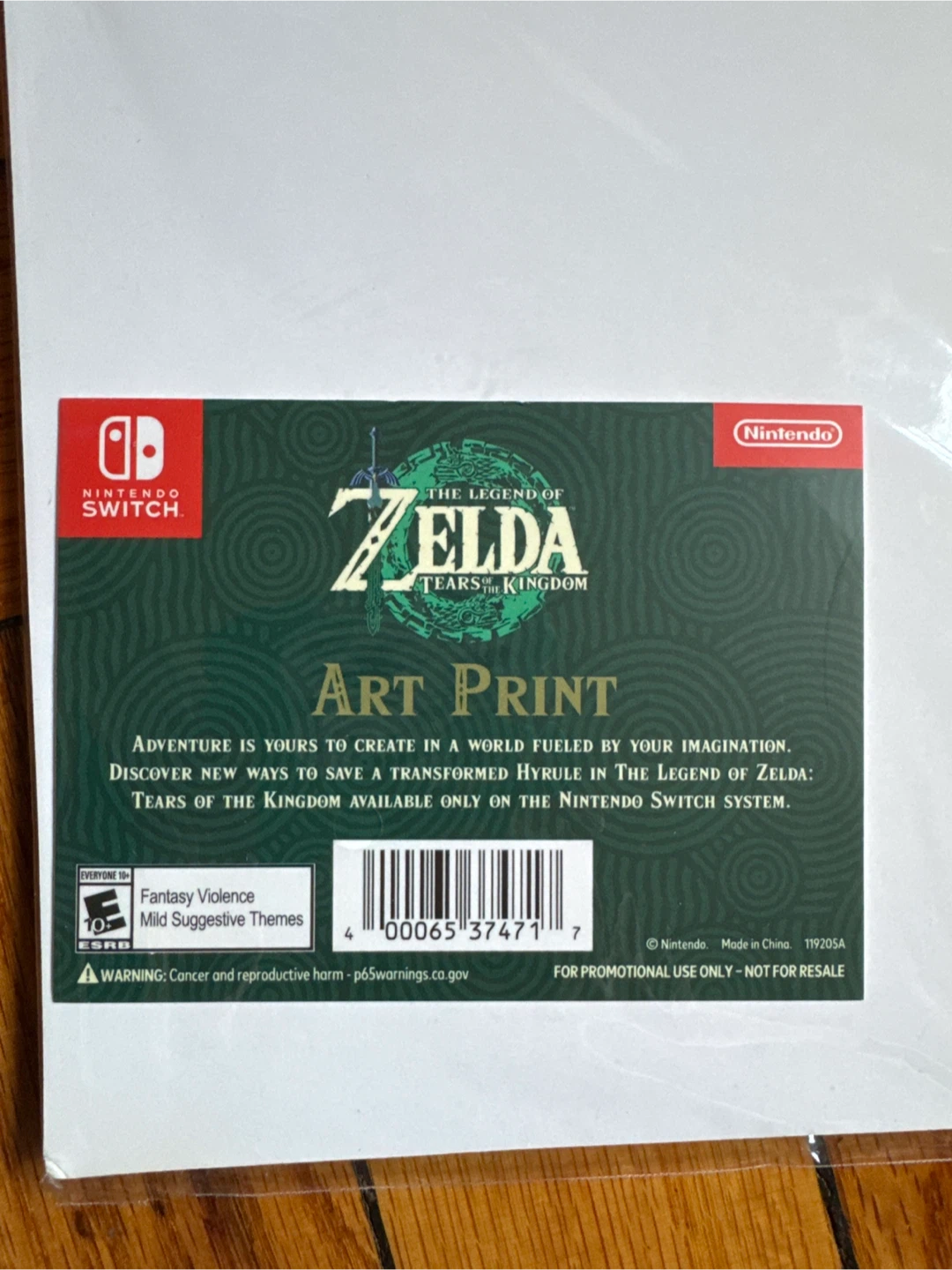 The Legend of Zelda: Tears of the Kingdom Art Print - photo 2