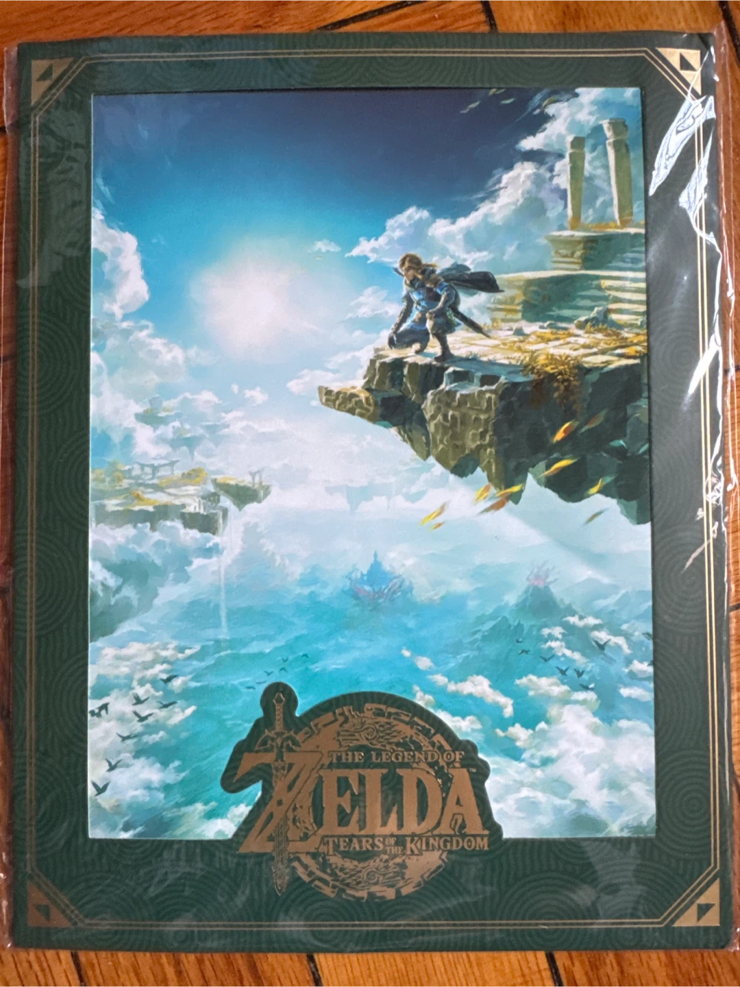 The Legend of Zelda: Tears of the Kingdom Art Print