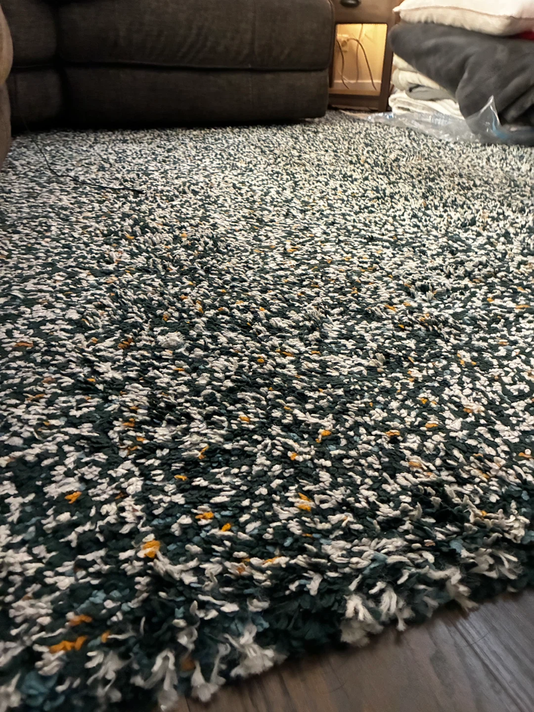 Shaggy Area Rug 6’x9’