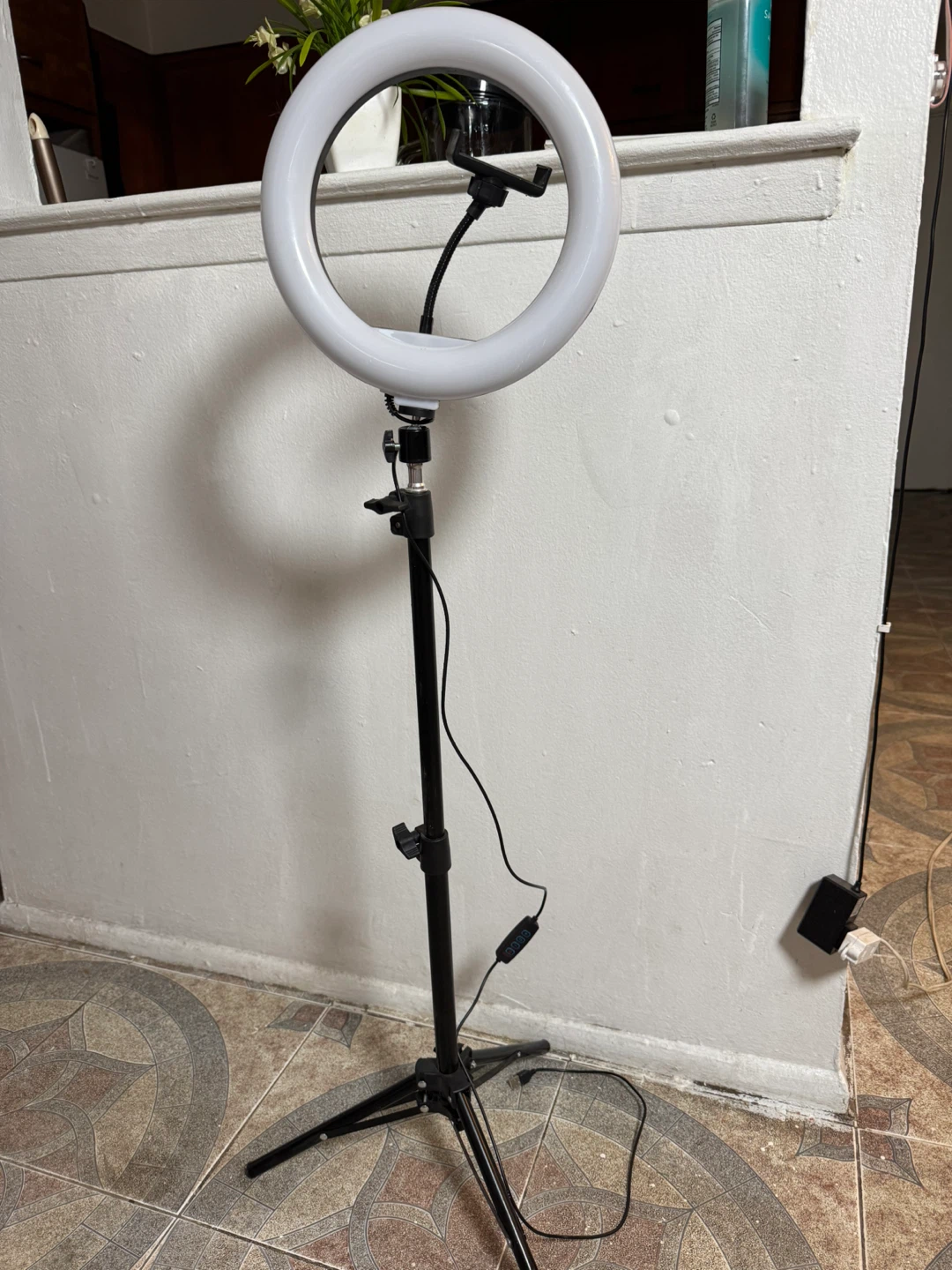 10-inch Ring Light with Stand