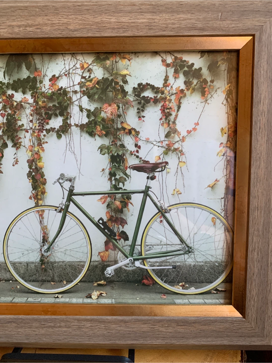 Framed Photo of Green Bicycle with Ivy - photo 4