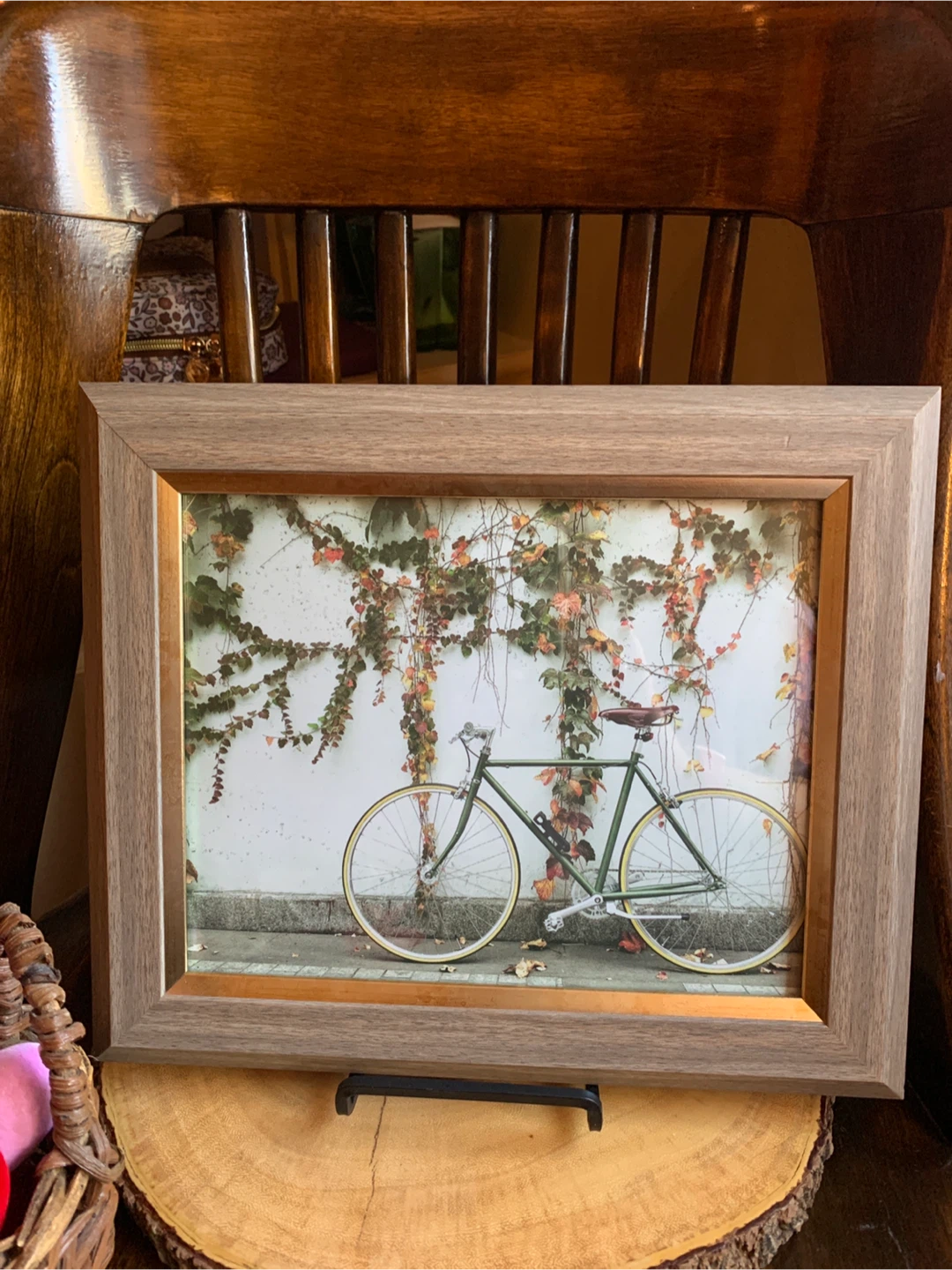 Framed Photo of Green Bicycle with Ivy