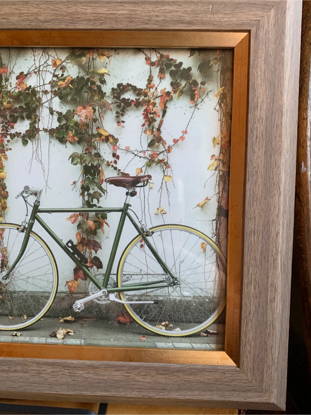 Framed Photo of Green Bicycle with Ivy - photo 3