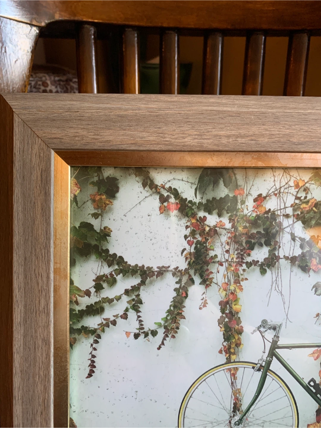 Framed Photo of Green Bicycle with Ivy - photo 2