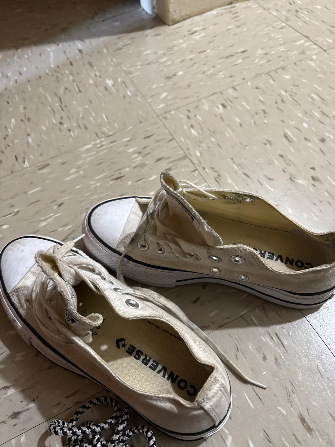 Converse Taylor - photo 2