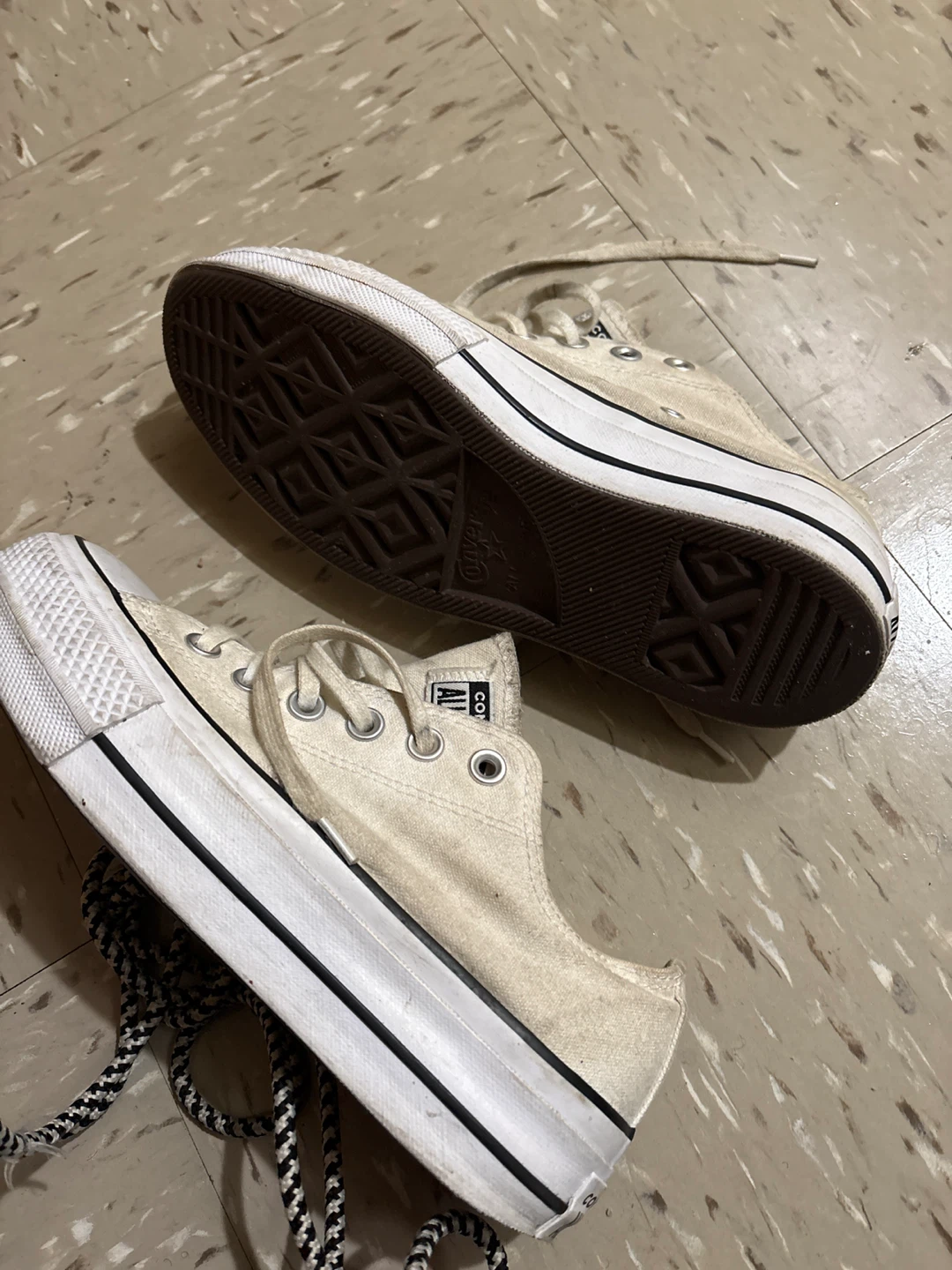 Converse Taylor - photo 4