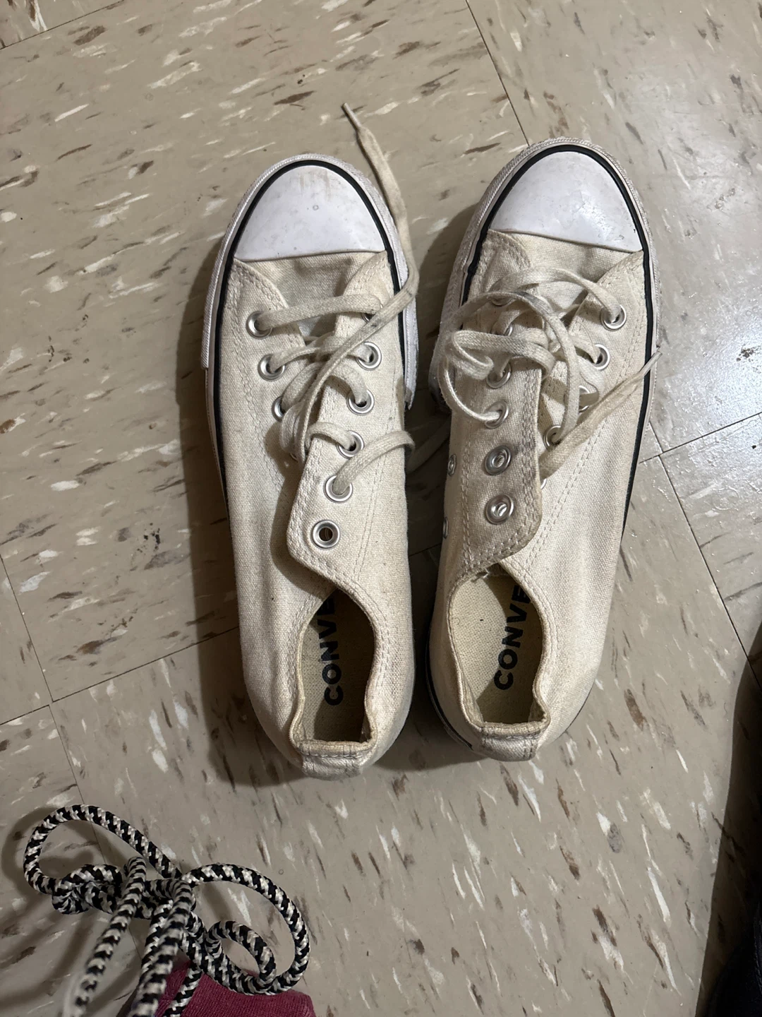 Converse Taylor