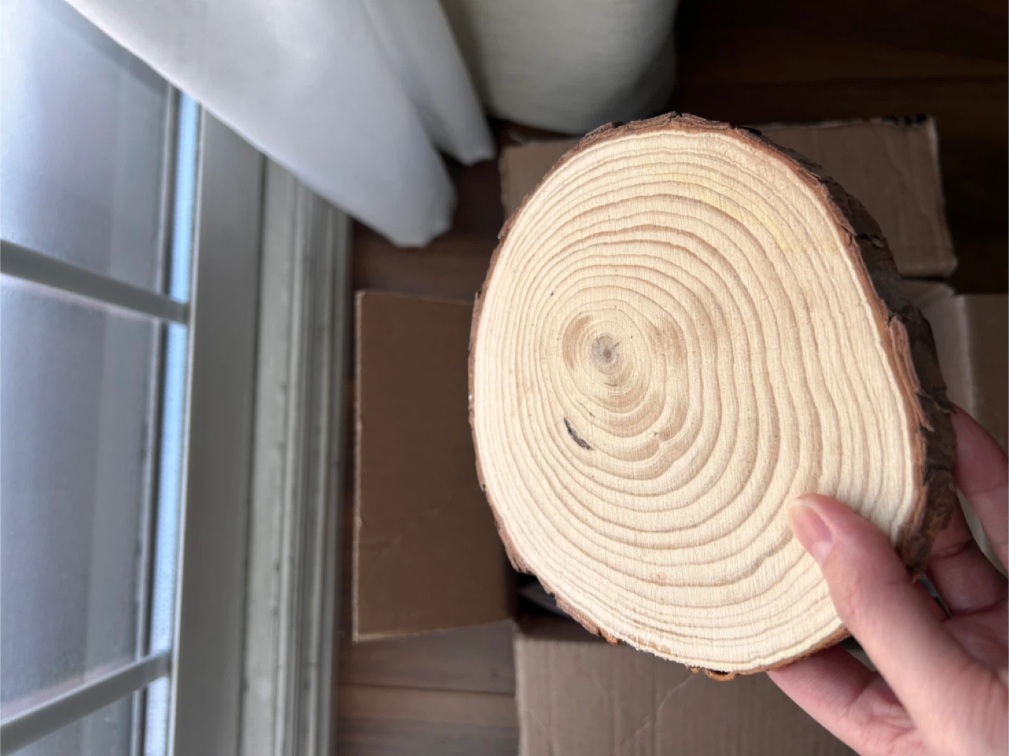 10 Wood Slice Coasters or Decor - photo 2