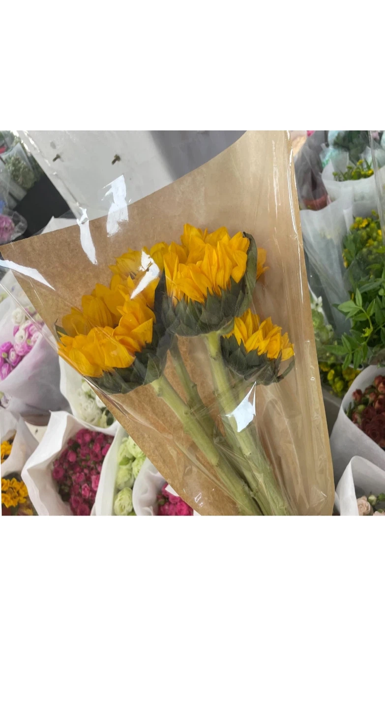Flower Bags 22 - New
