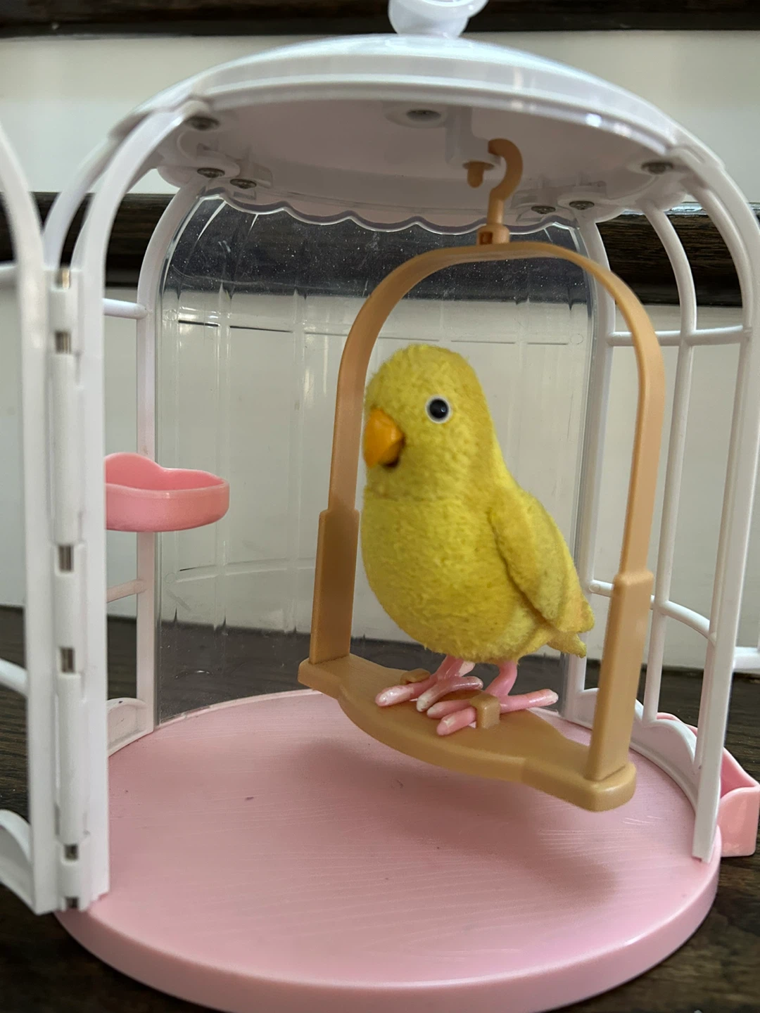 Talking bird - photo 2