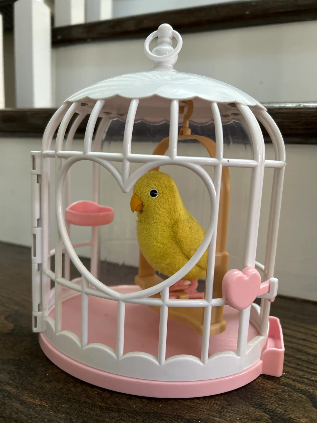 Talking bird
