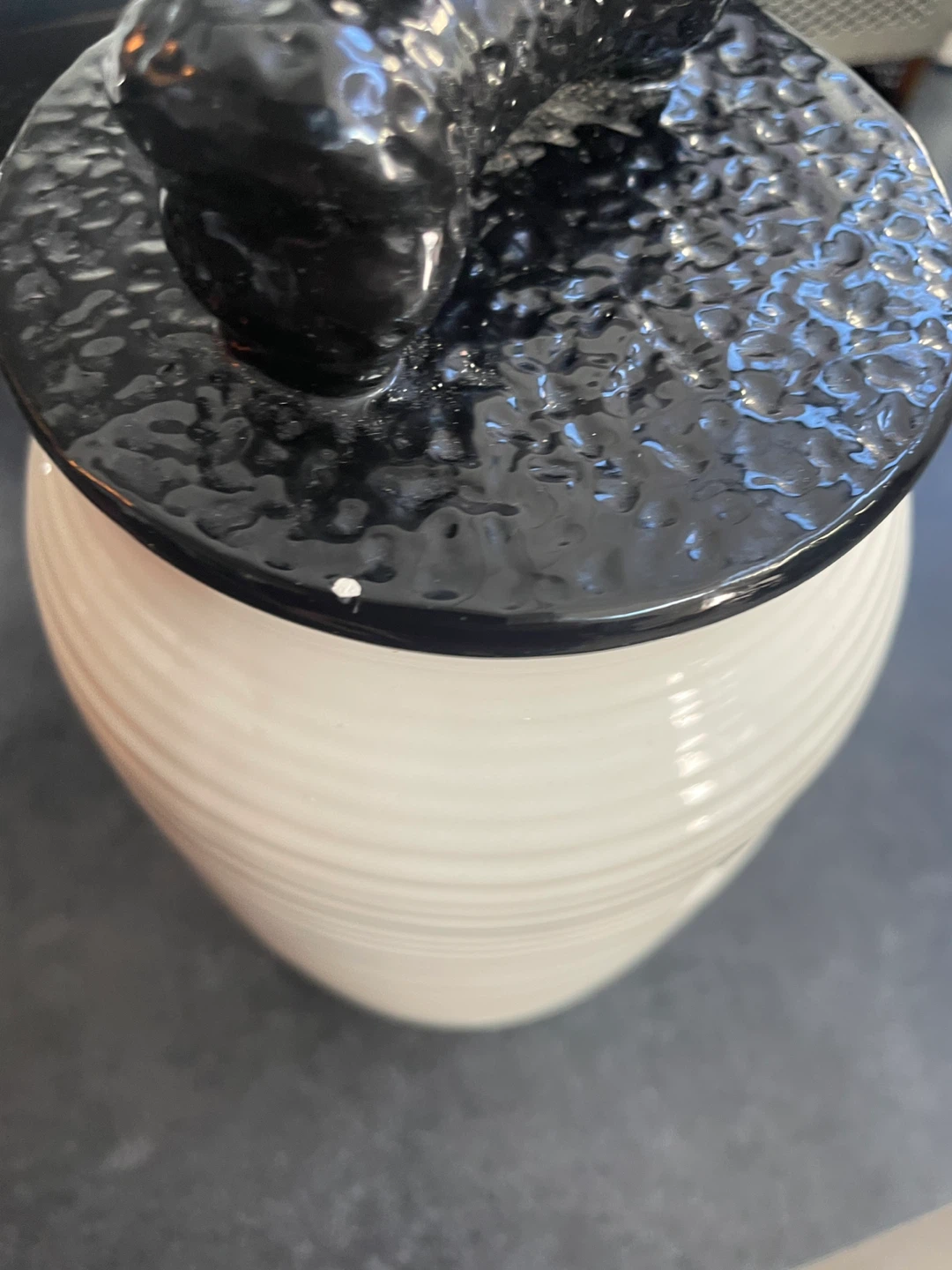 Ceramic dog treat "Biscuits" Jar with Black Lid - photo 2