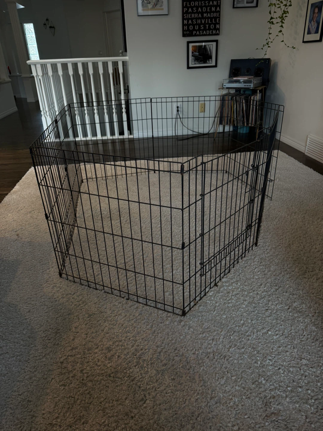 Black Metal Pet Playpen