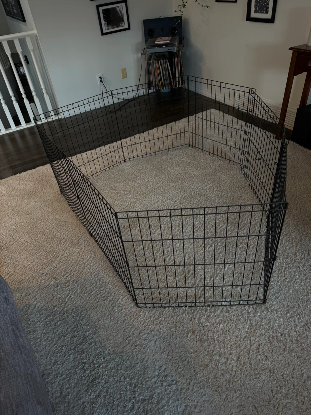 Black Metal Pet Playpen - photo 3