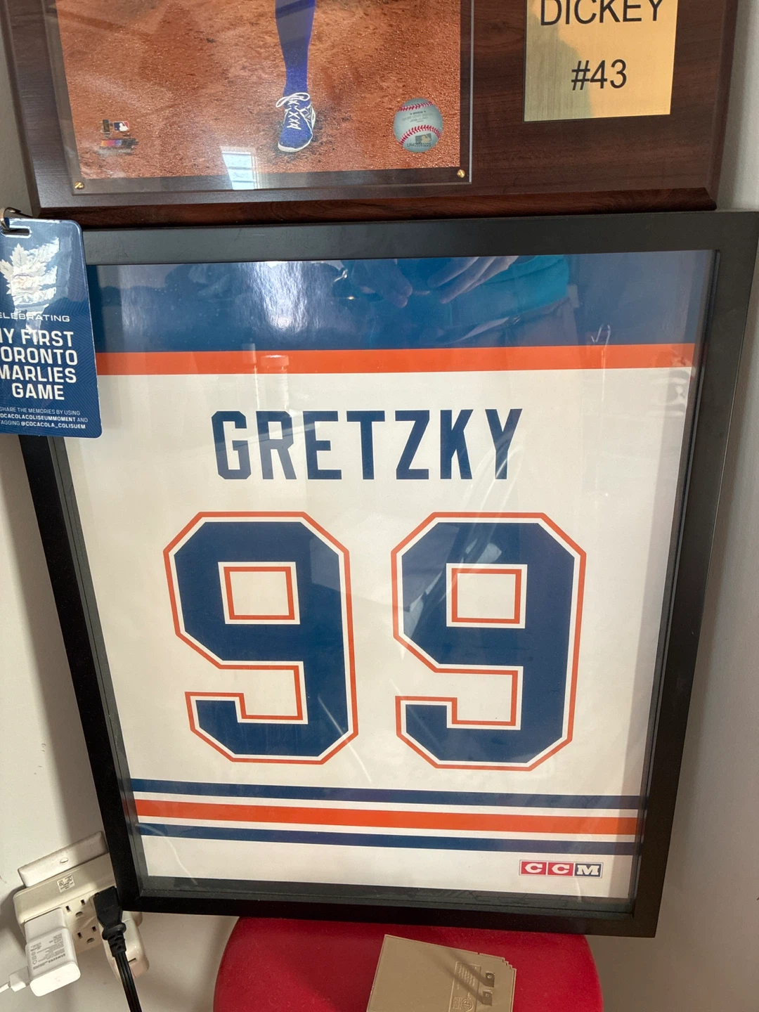 Wayne Gretzky 99 Framed Jersey CCM