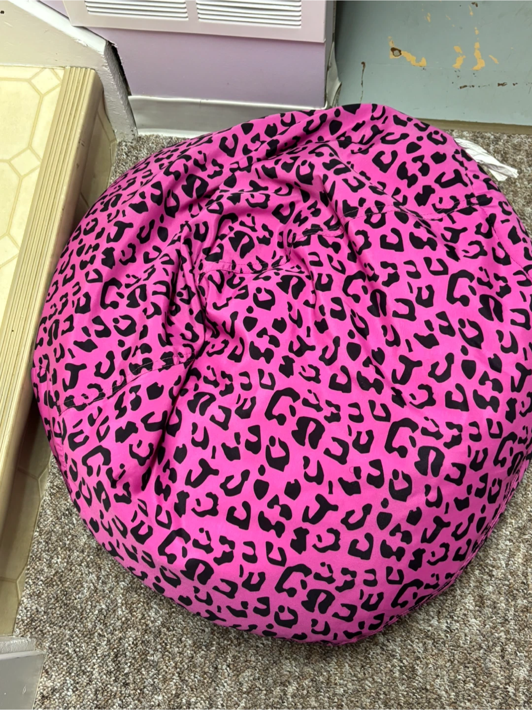 Pink Leopard Print Beanbag Chair