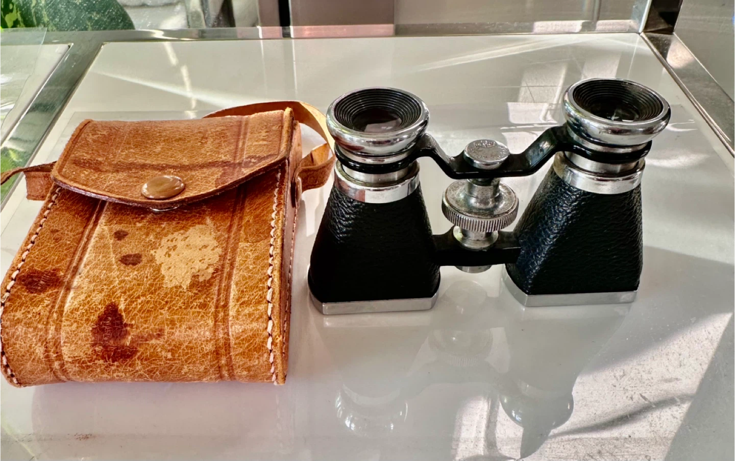 Vintage Opera Glasses with Leather Case