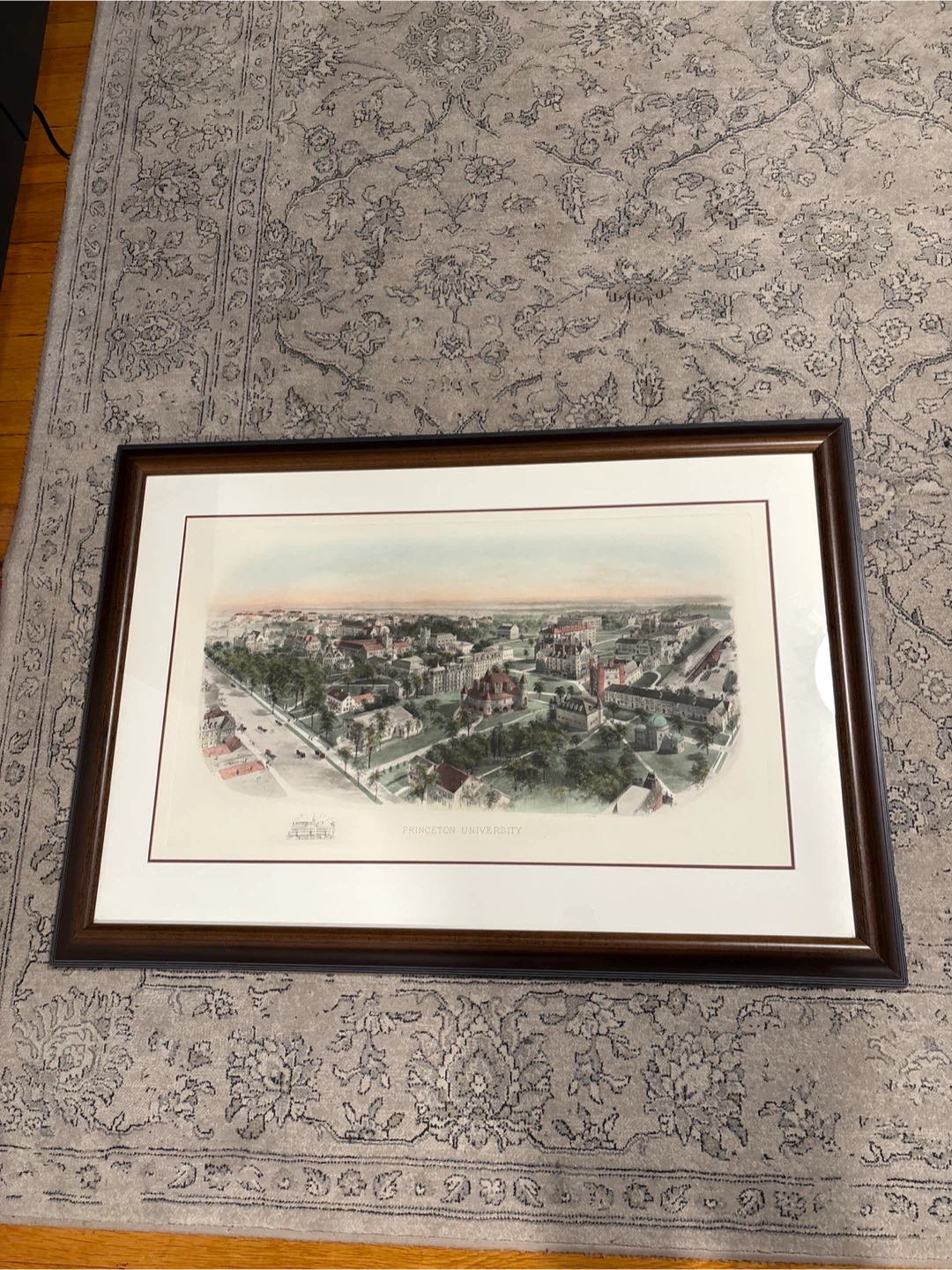 Framed Princeton University Art Print