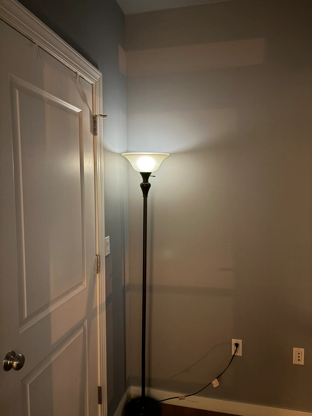 Torchiere Floor Lamp with Frosted Shade