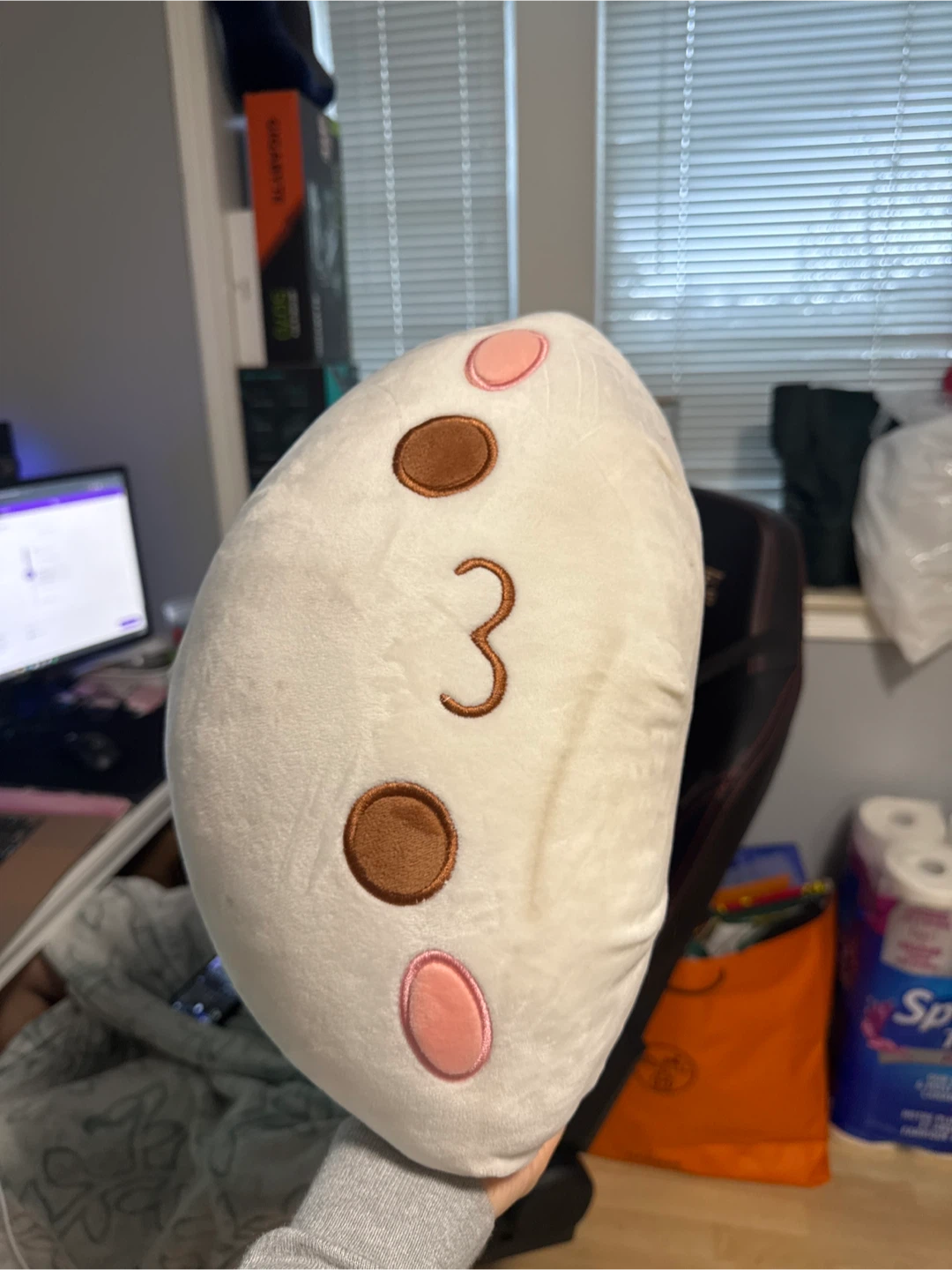 Plush Pillow