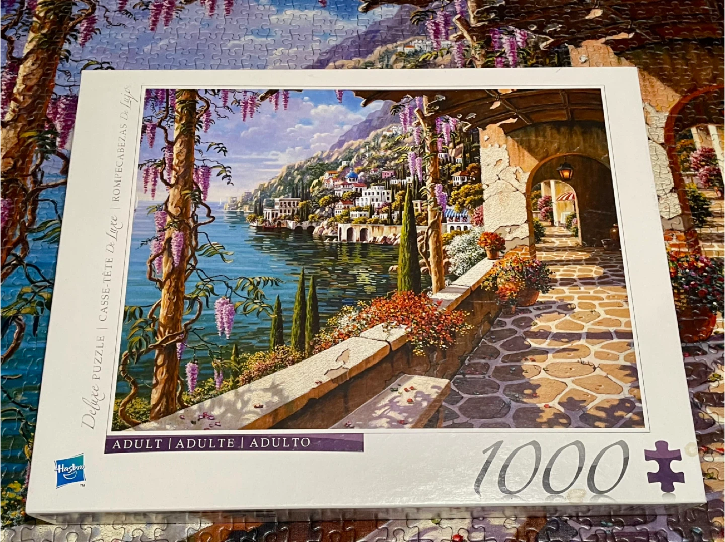 Hasbro Deluxe 1000 Piece Puzzle