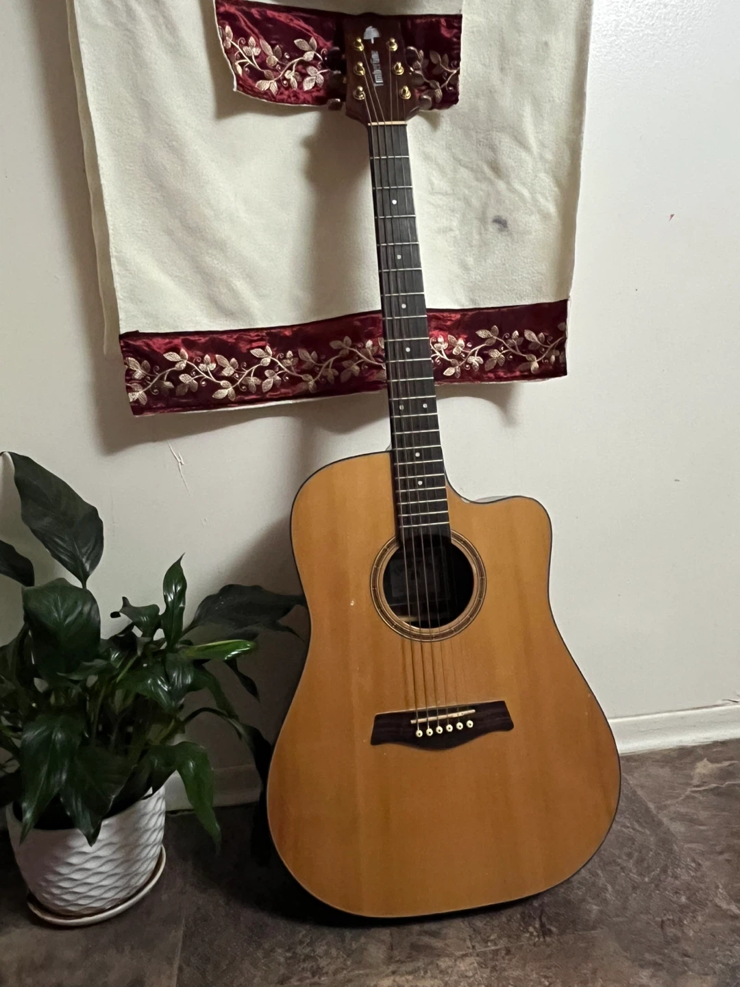 Timberline Acoustic Guitar