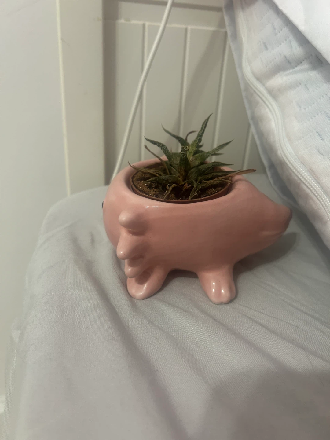 axolotl pot (succulent is dead so just the pot) - photo 4