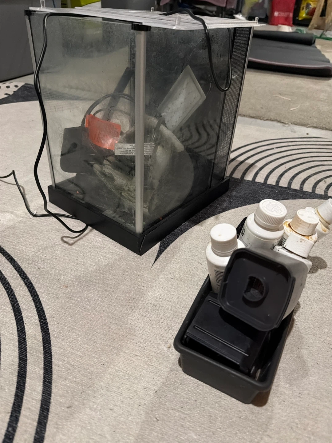 Small Aquarium with Filter and Water Treatments
