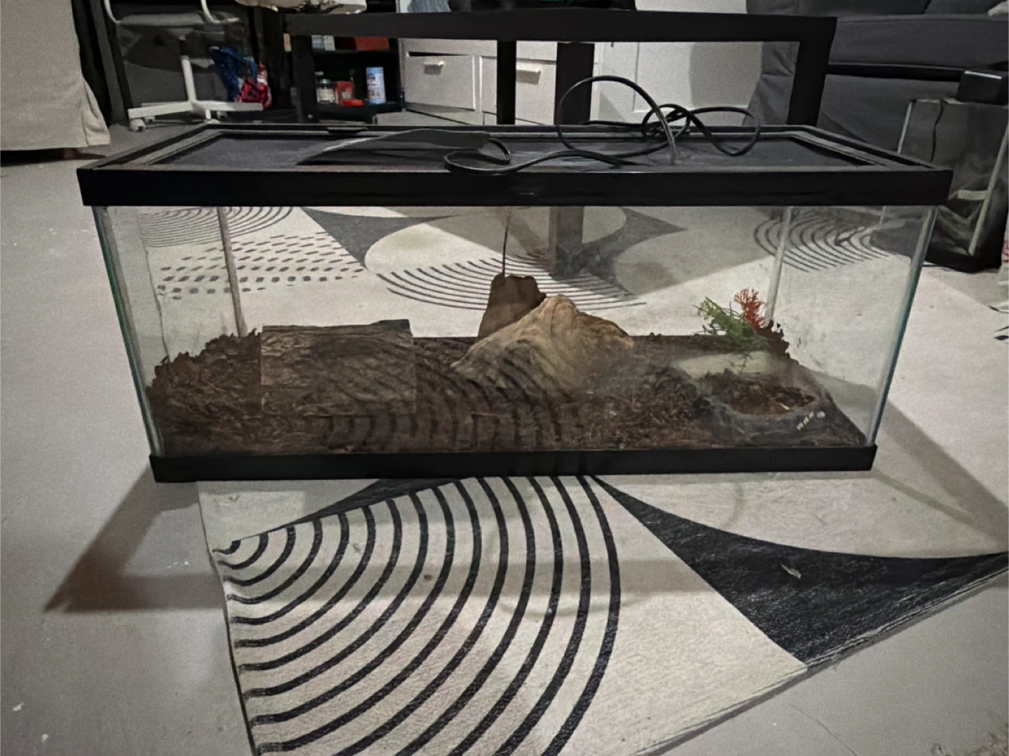 Tank and Zoo Med Repti Therm Under Tank Heater - photo 2