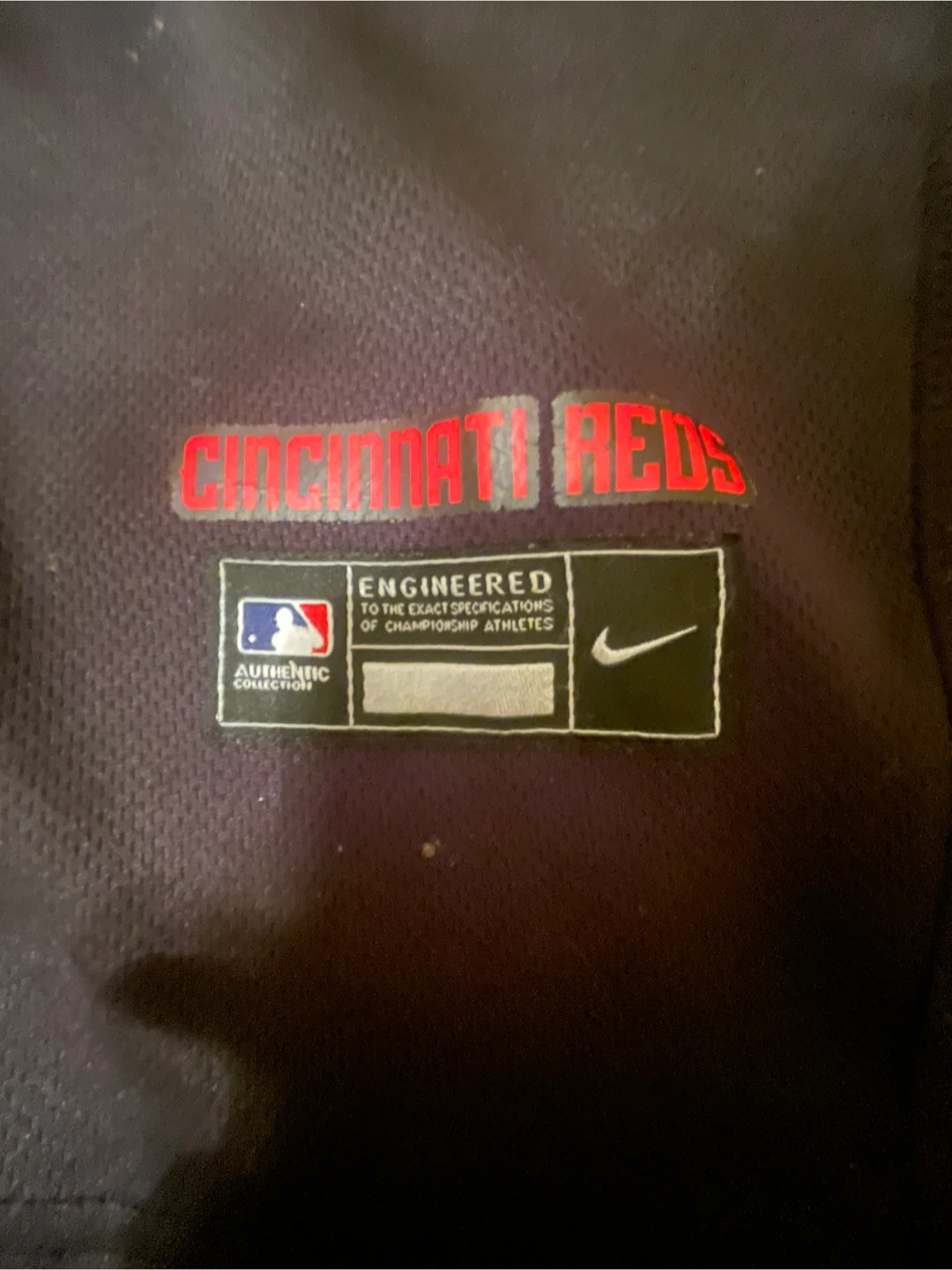 Elly De La Cruz city connect uniform - photo 4