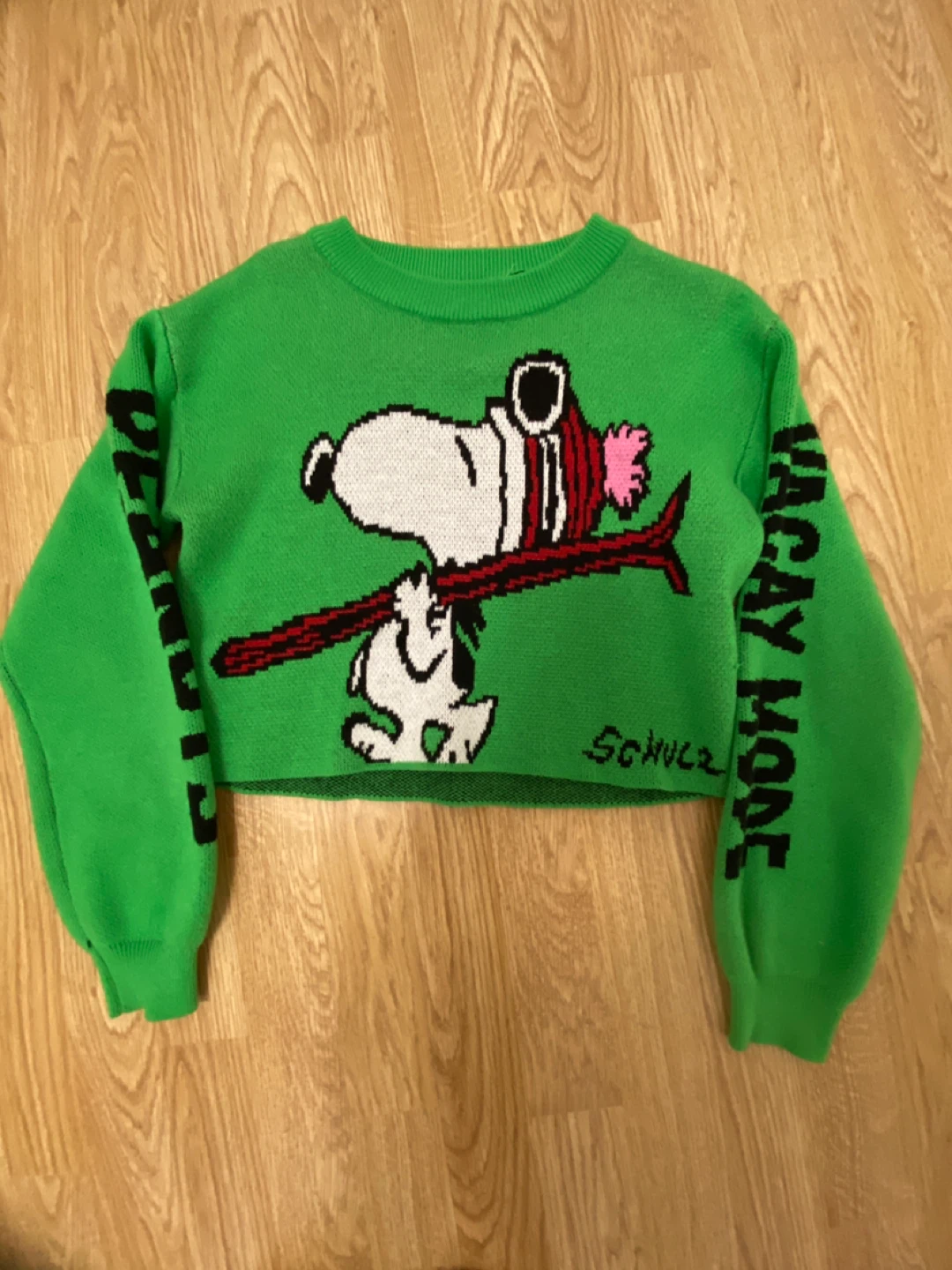 H&M Peanuts Snoopy Cropped Sweater