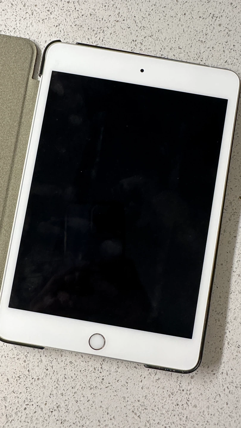 Apple iPad Mini (7.9-in, Wi-Fi, 64GB) - Silver (5th Gen, 2019) - photo 3