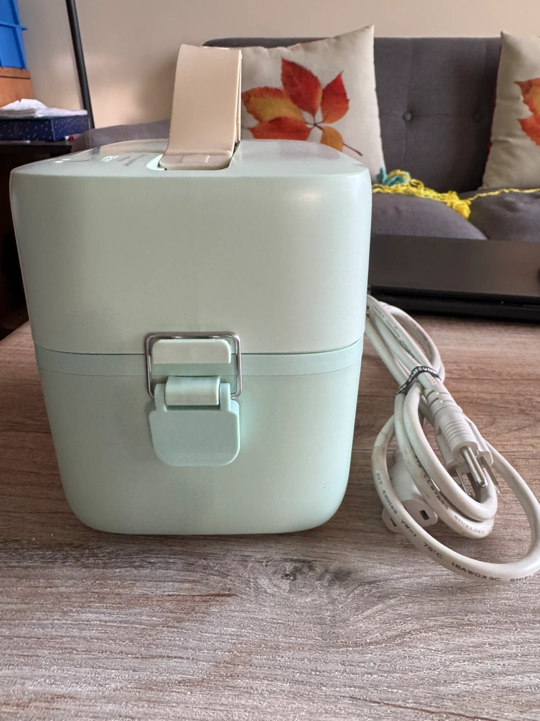 Bear Electric Lunch Box Food Heater Warmer 110V - photo 4