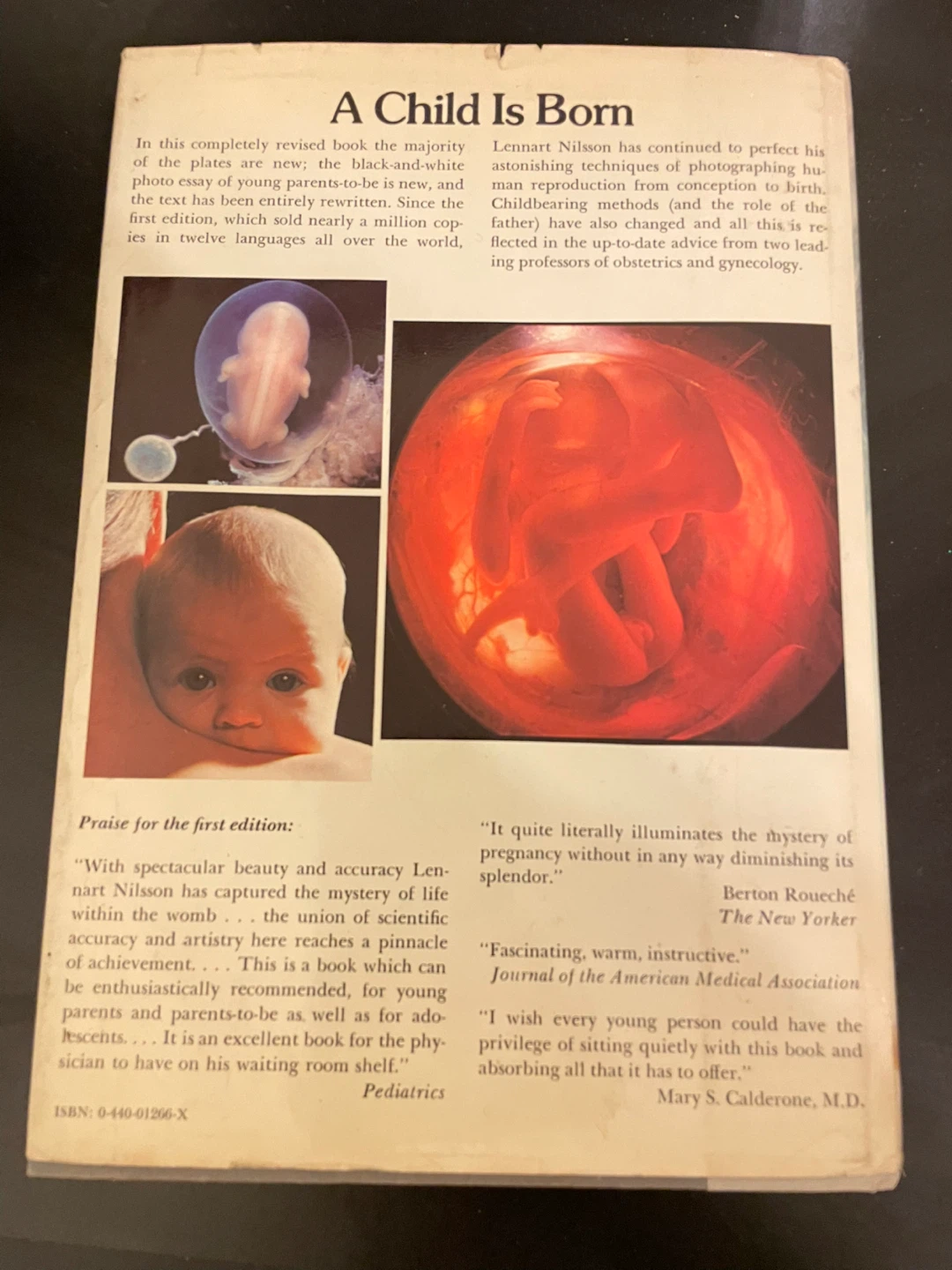 A Child Is Born: New Photographs of Life Before Birth - photo 4