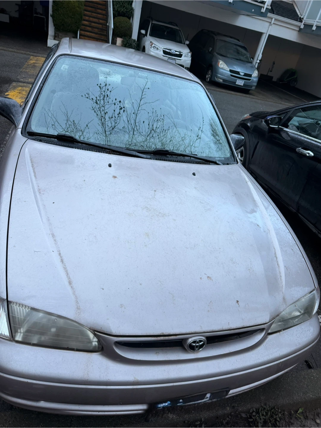 Toyota Corolla 2000