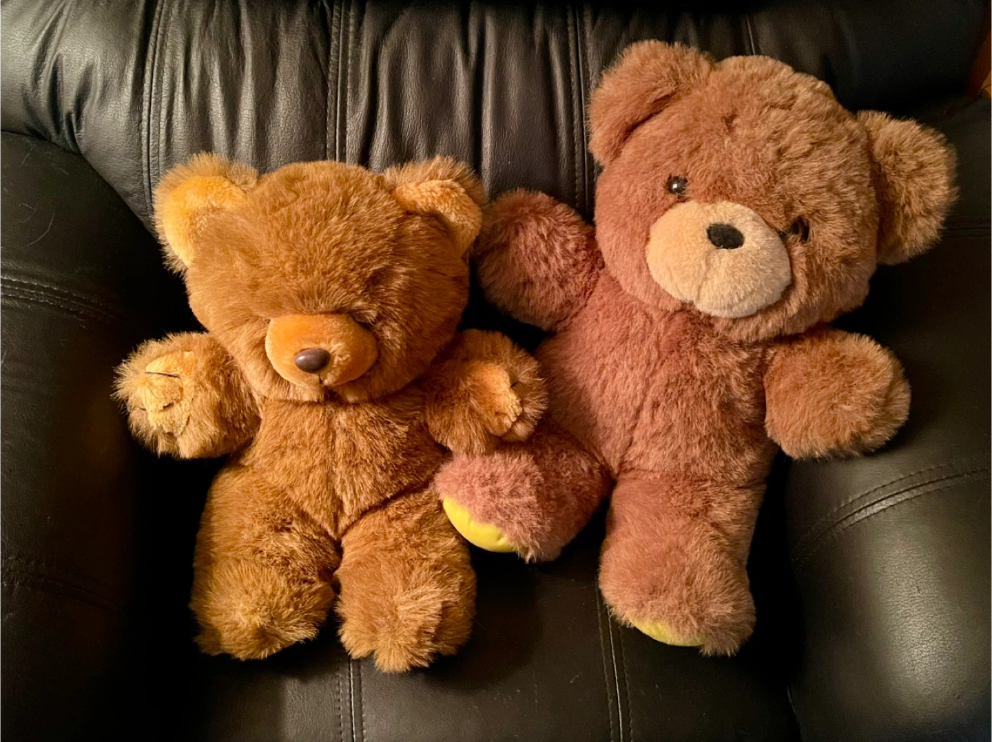 Two Teddy Bears