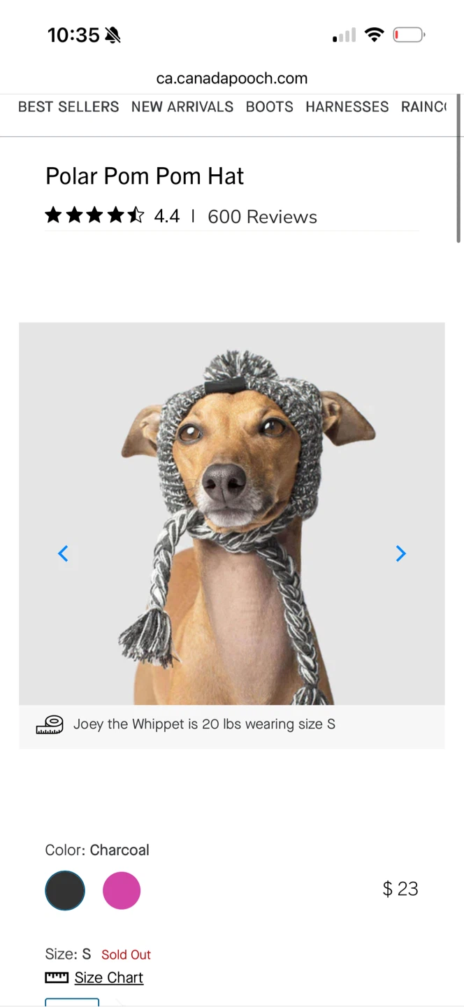 Canada Pooch dog beanie size Small