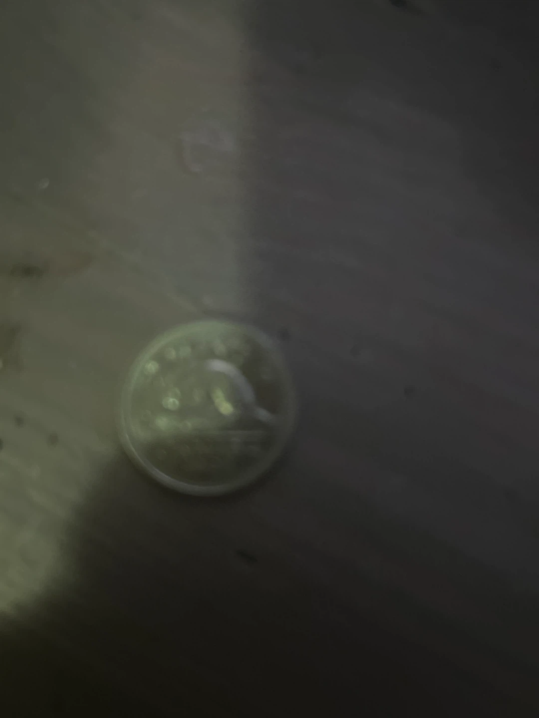 Canadian 25 Cent Coin