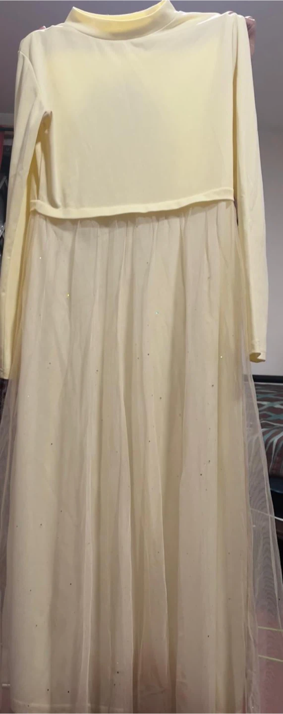 Cream Tulle Overlay Long Sleeve Dress