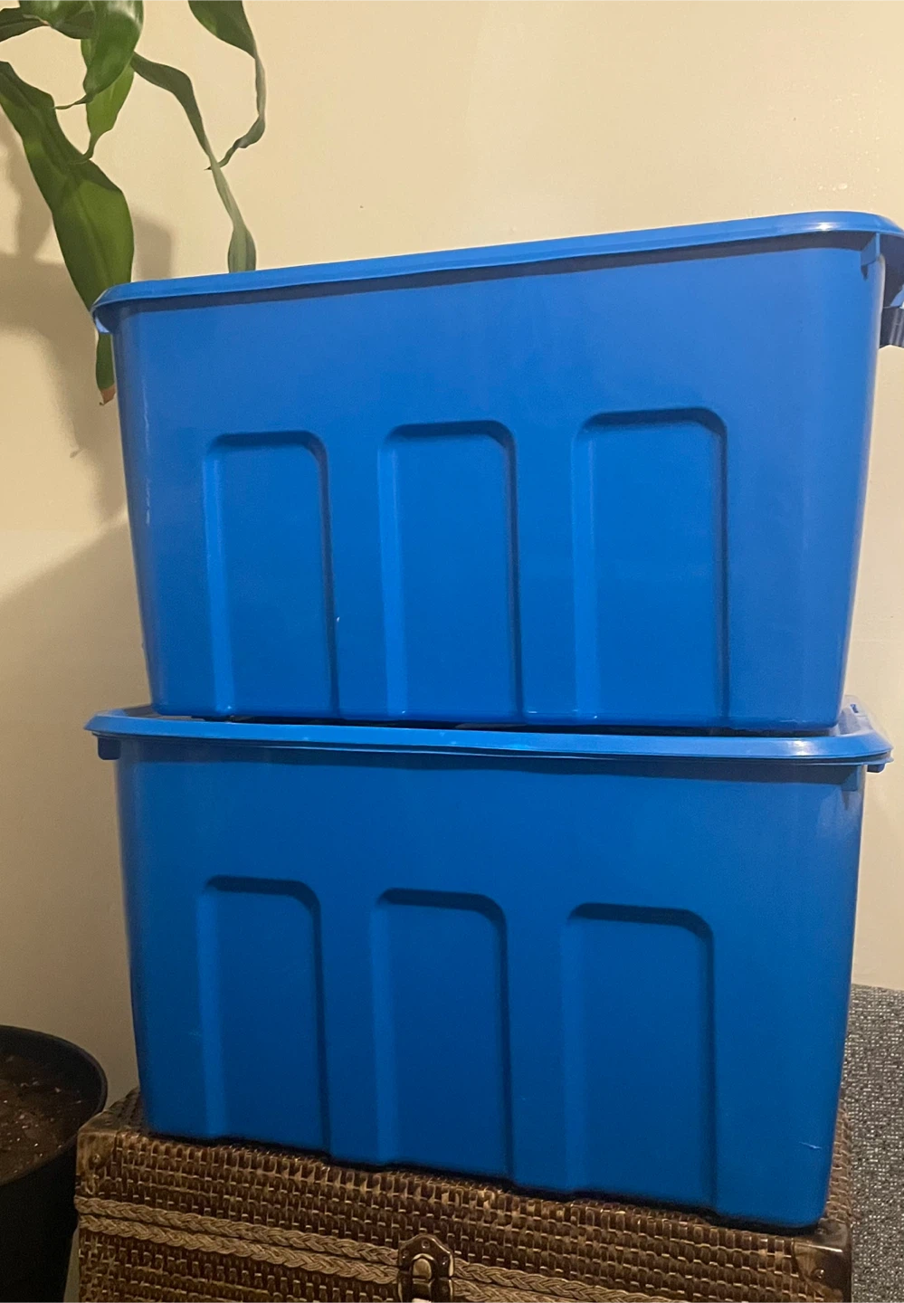 Blue Plastic Storage Bins - Set of 2