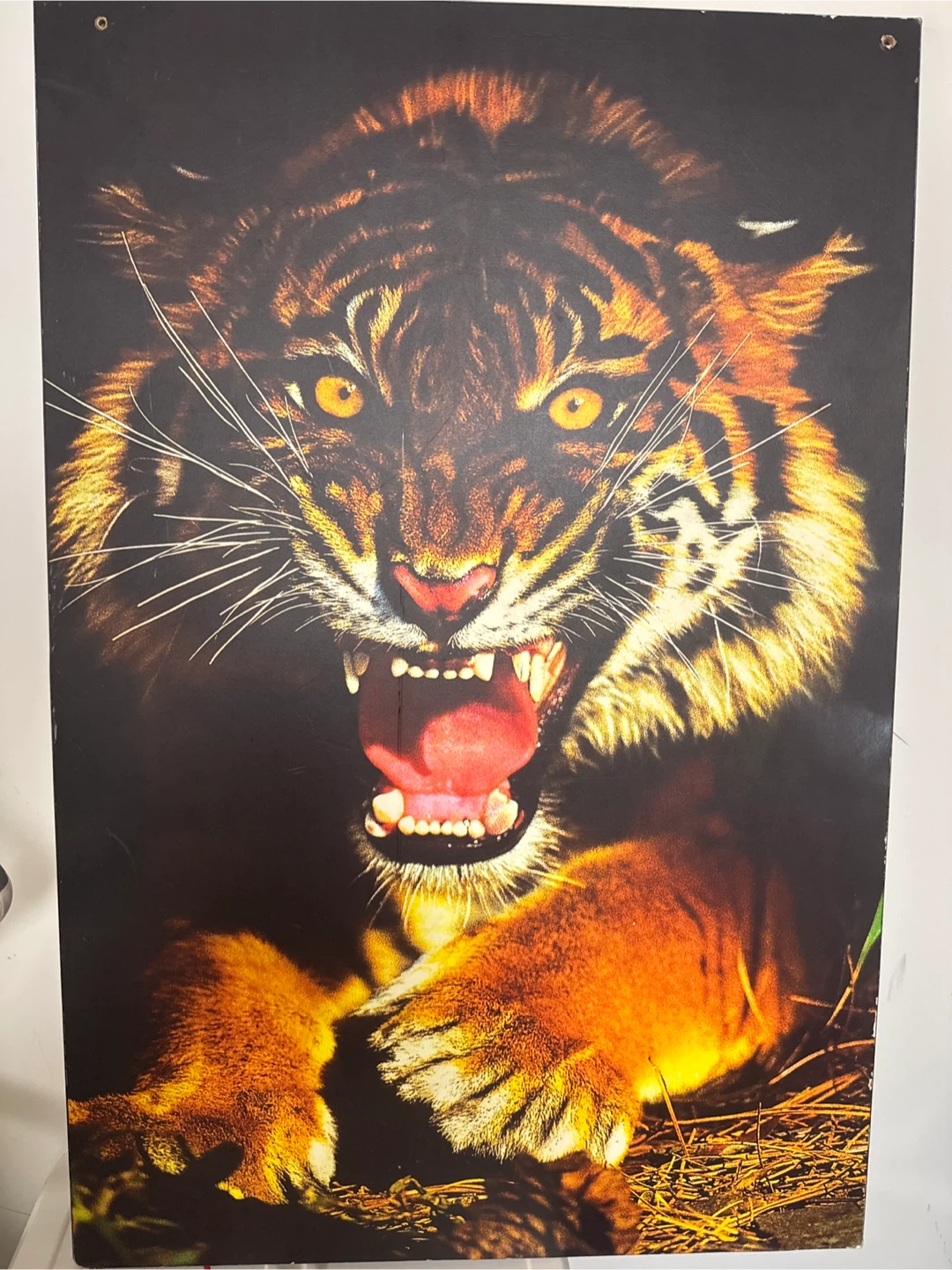Roaring Tiger Poster
