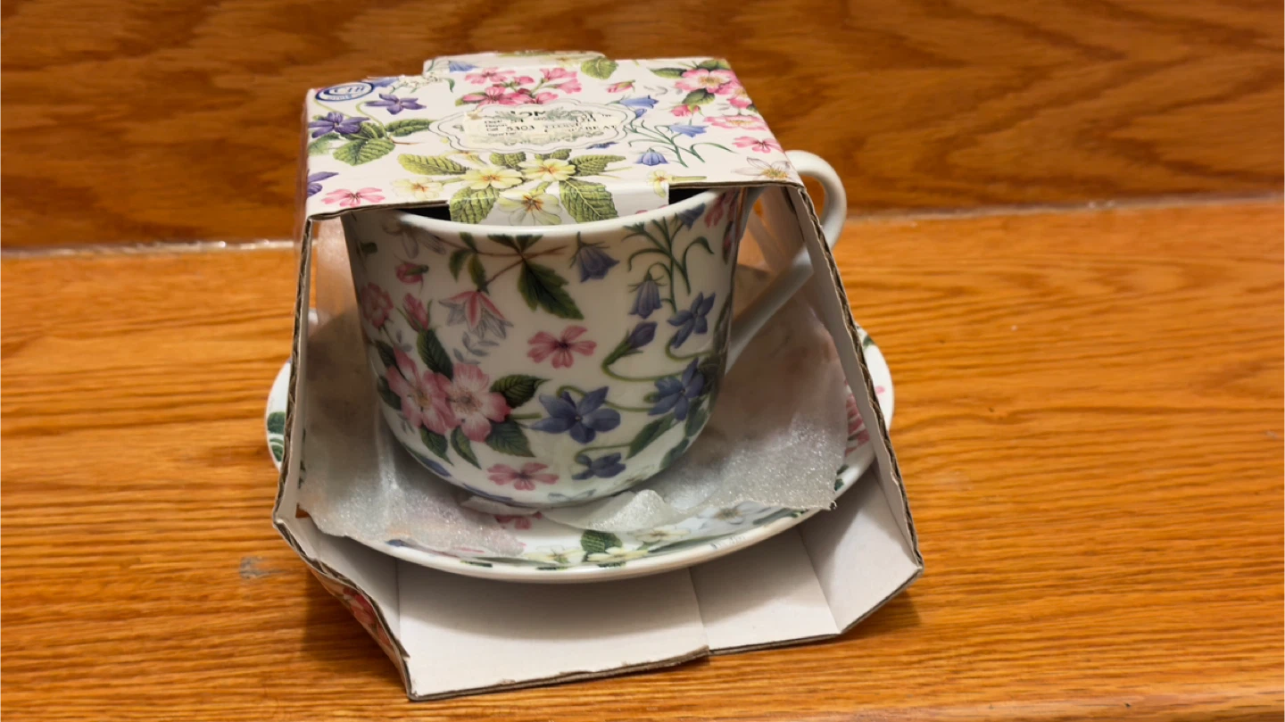 Home Essentials & Beyond Teacup and Saucer Set