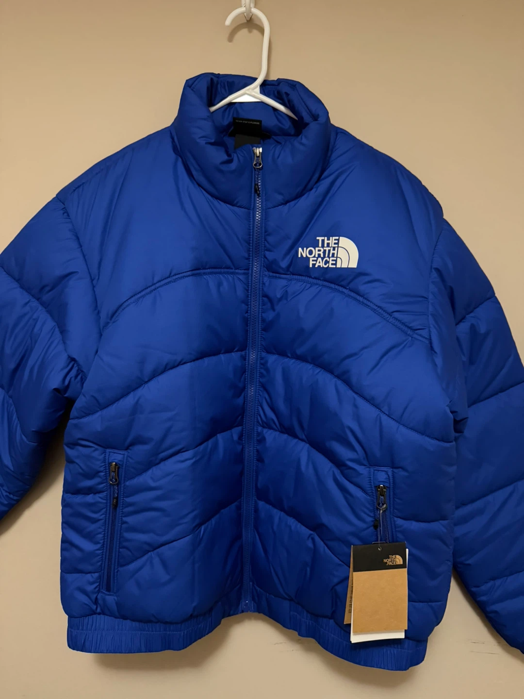 The North Face TNF Jkt 2000 Blue Puffer Jacket