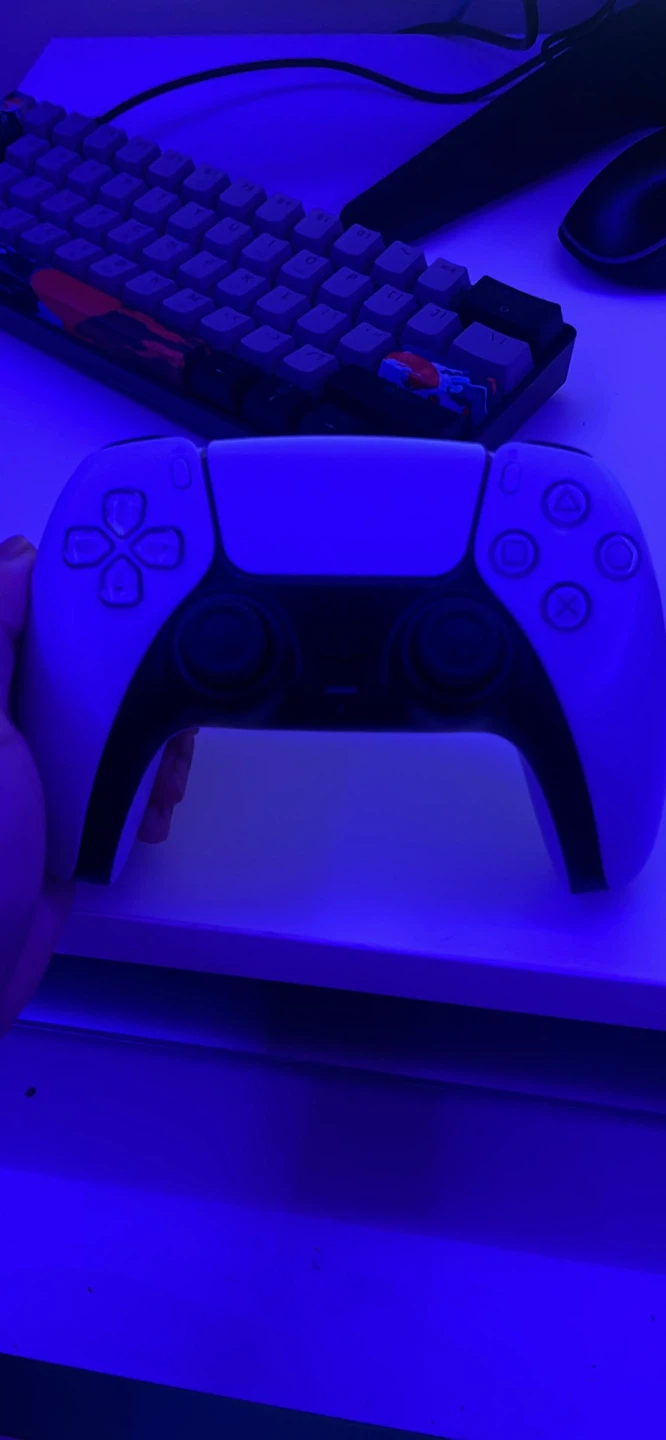 ps5 controller/ check description